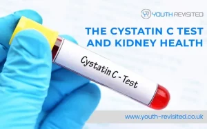 The Cystatin C Test And Kidney Health